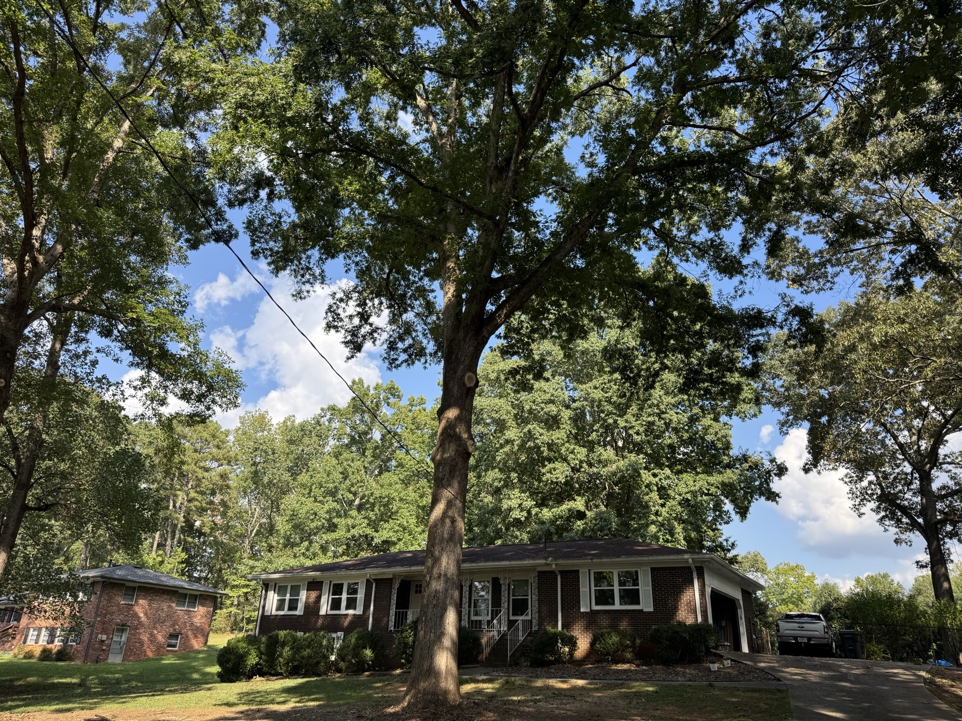 After: Oak canopy lifted and deadwood removed in Marietta GA