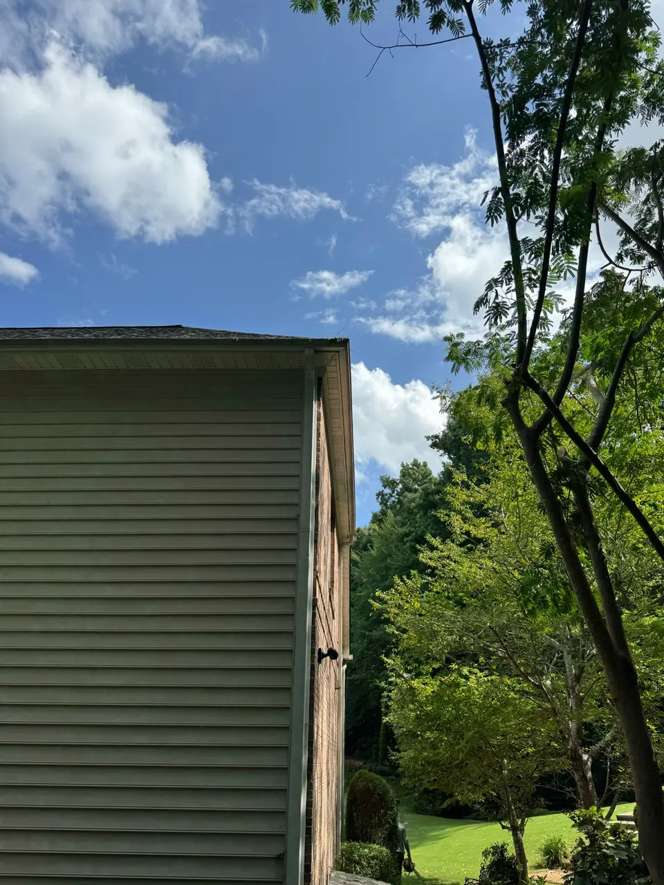 After: Clear sky above roofline with branches pruned back from house