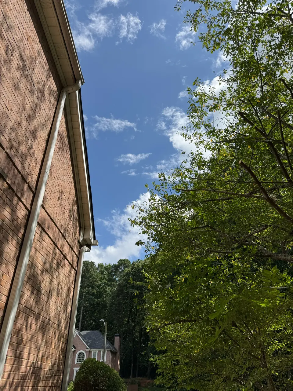 After: Clean roofline with trees pruned away from brick siding