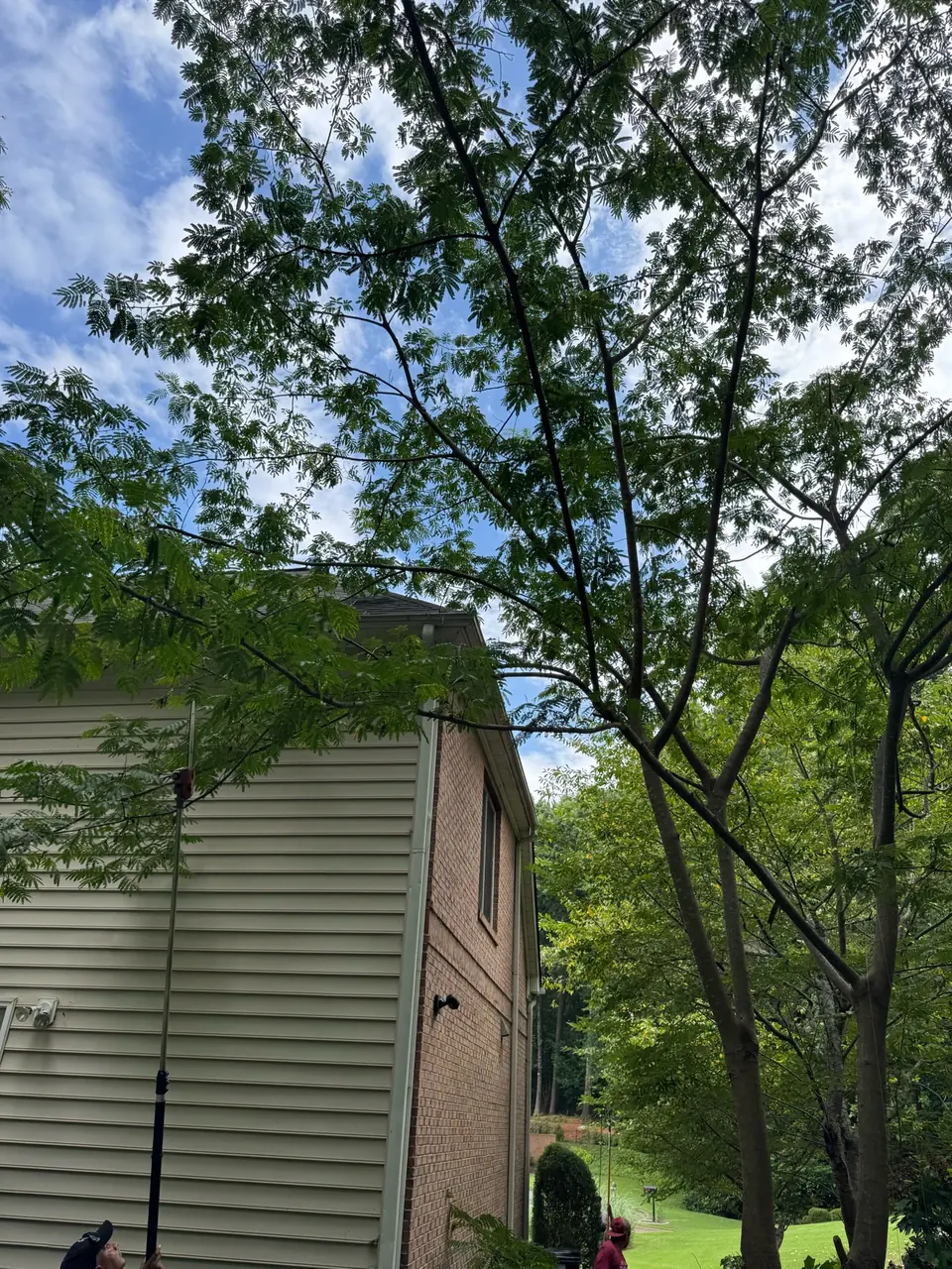 Before: Tree branches extending over roof and hanging into gutters of residential home in Kennesaw GA