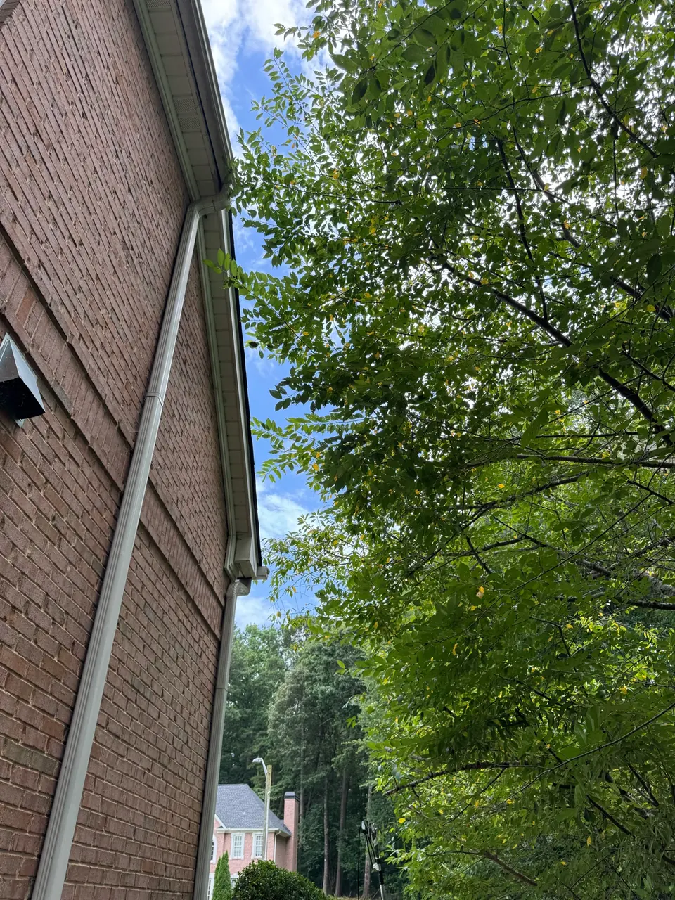 Before: Branches growing close to gutters and brick siding