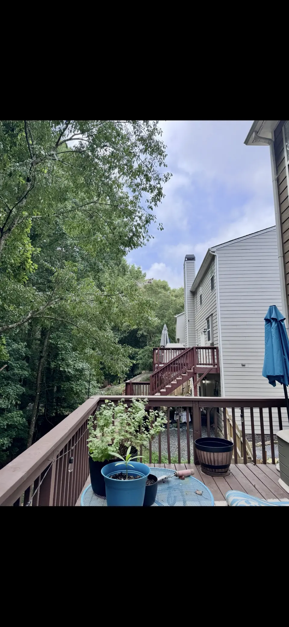 After: Clear view from deck with the maple tree removed and the fence visible