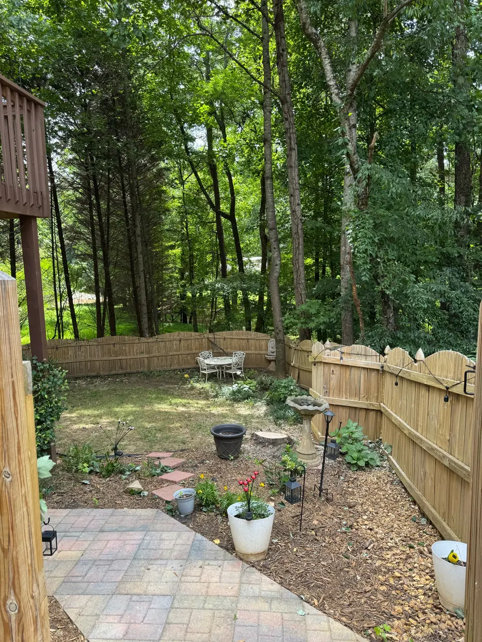 After: Clean backyard with landscaping, patio and fence visible after maple tree removal