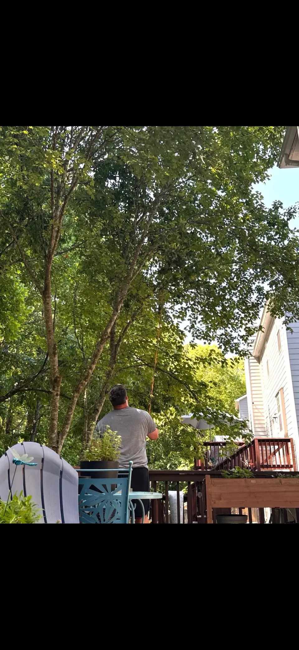 Before: Large maple tree growing over deck, fence, and roof in tight residential backyard in Kennesaw GA