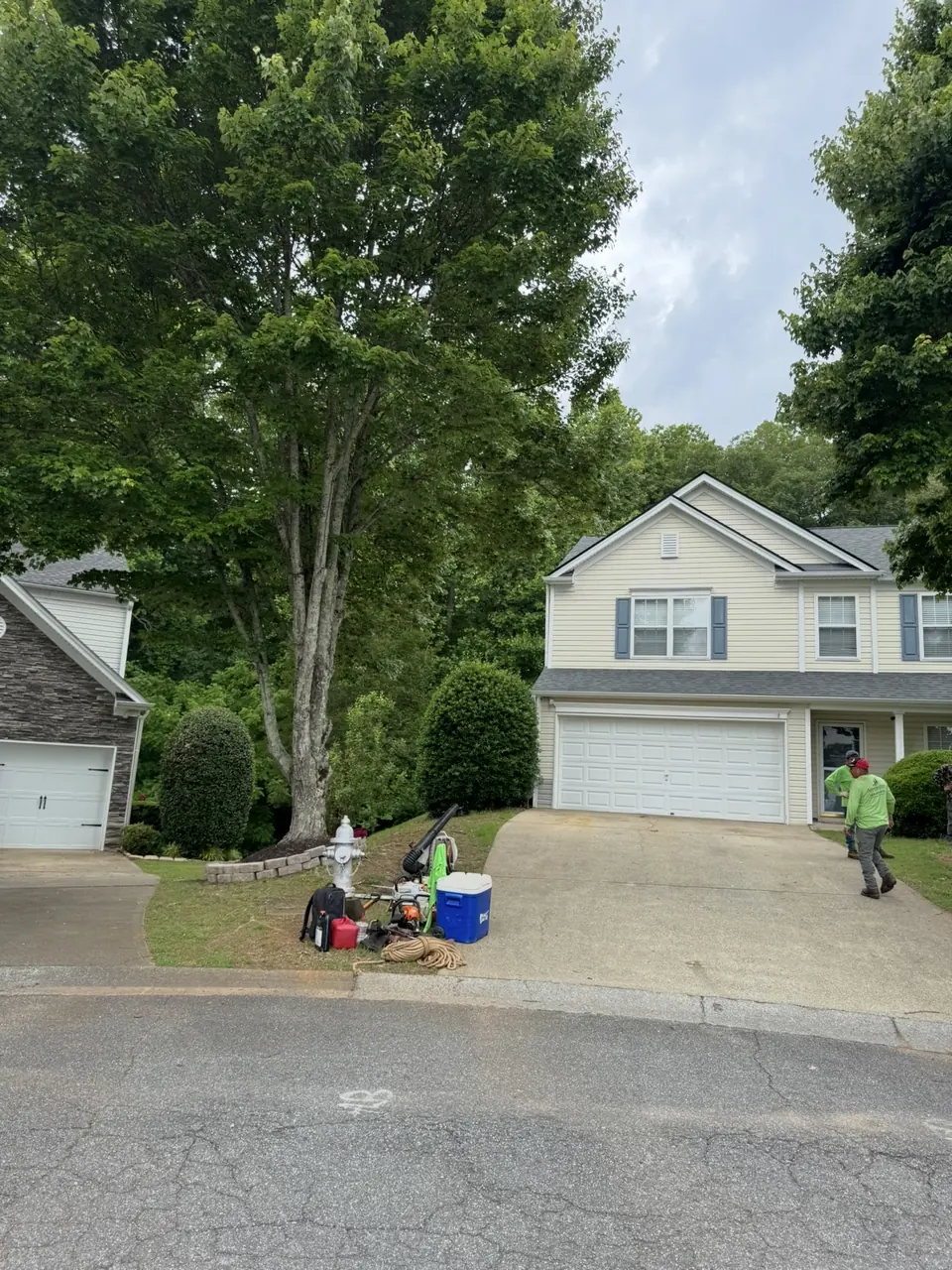 Before: Large maple tree on left side of driveway with low-hanging branches over driveway in Acworth GA