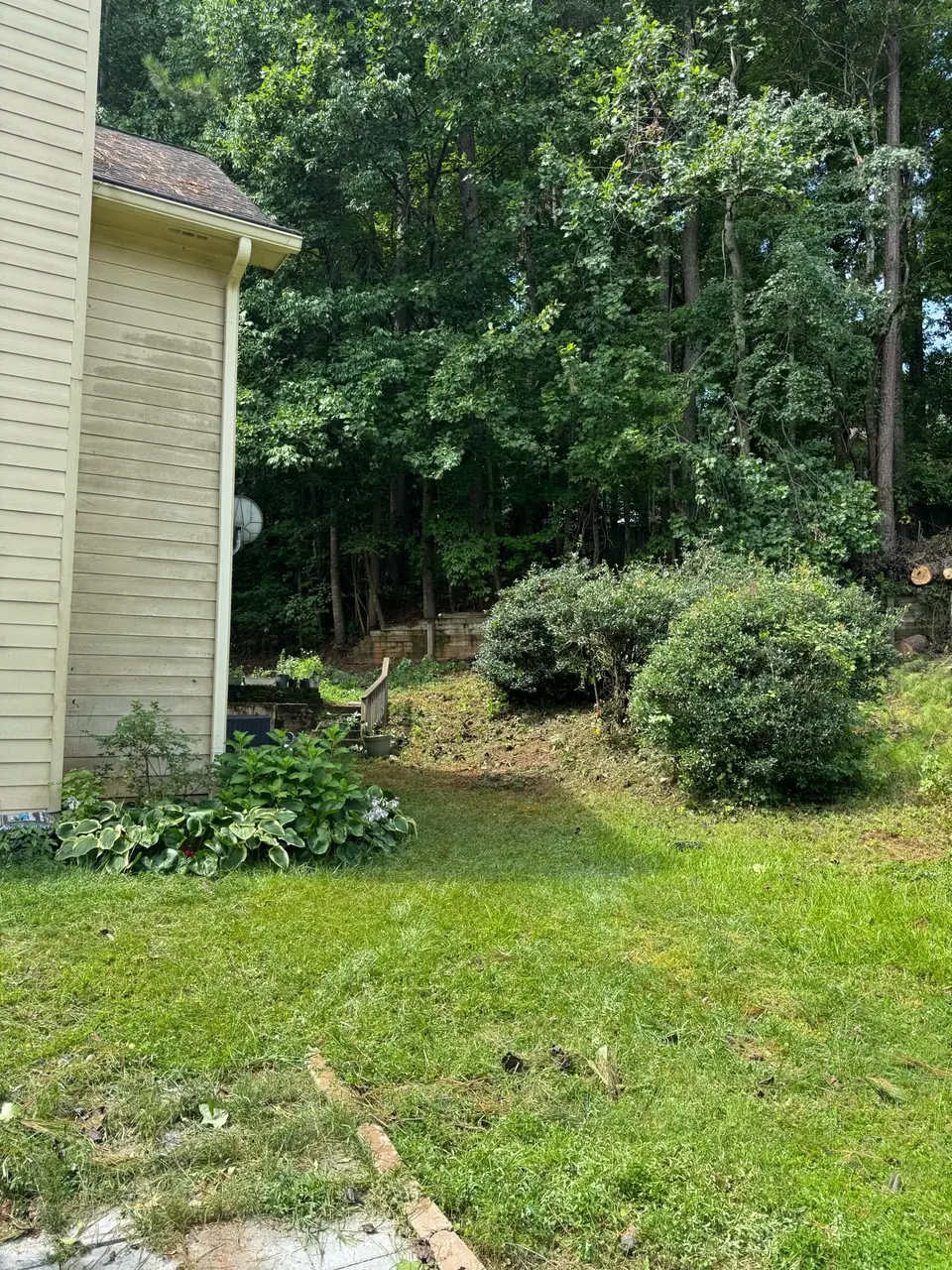 After: Fallen debris removed and the planting area visible in Dallas GA