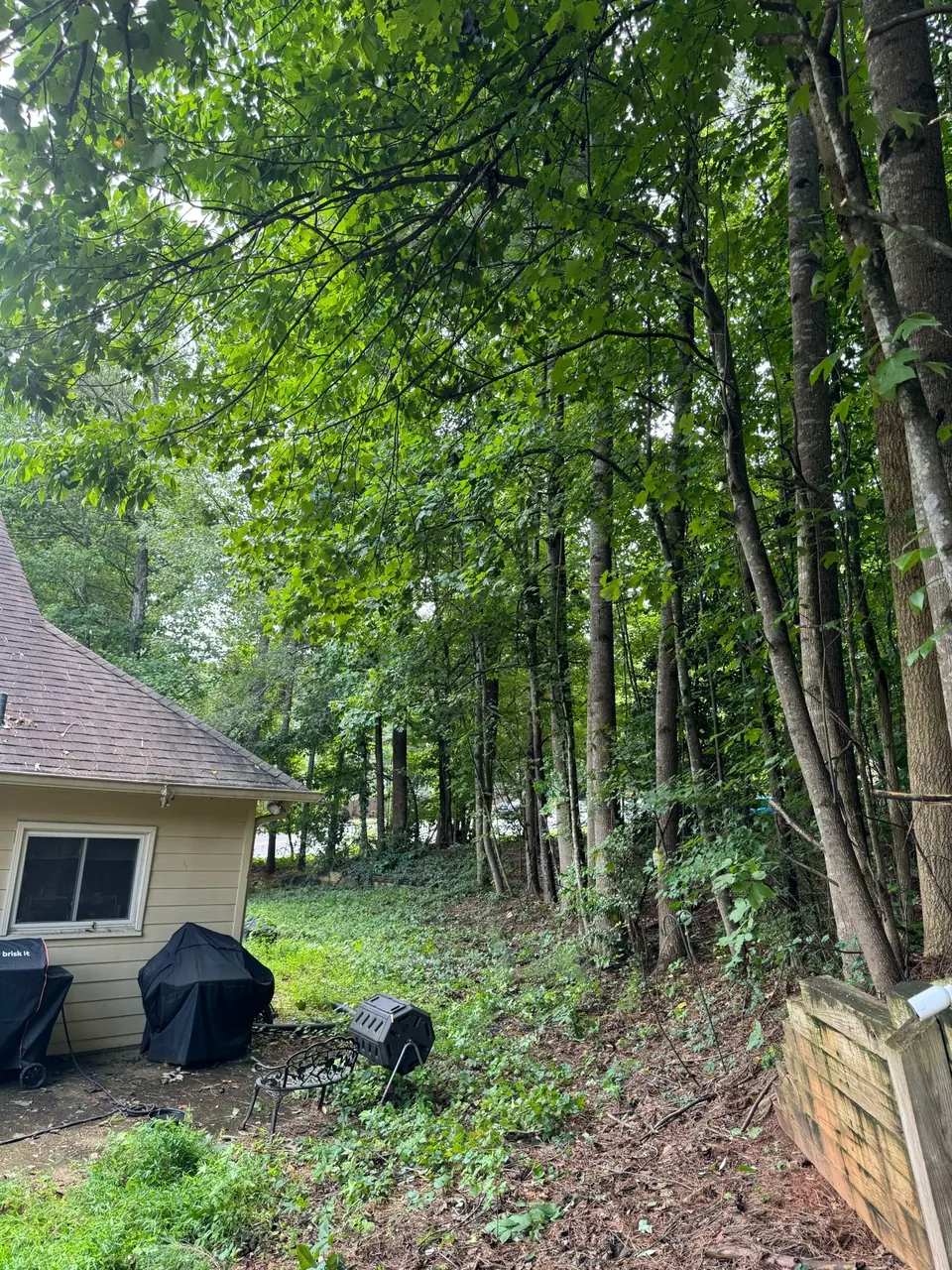 After: Trees pruned back from house with clear space and sunlight in Kennesaw GA