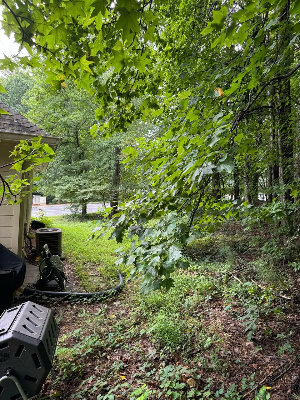 Before: Tree branches growing into house and over patio in Kennesaw GA