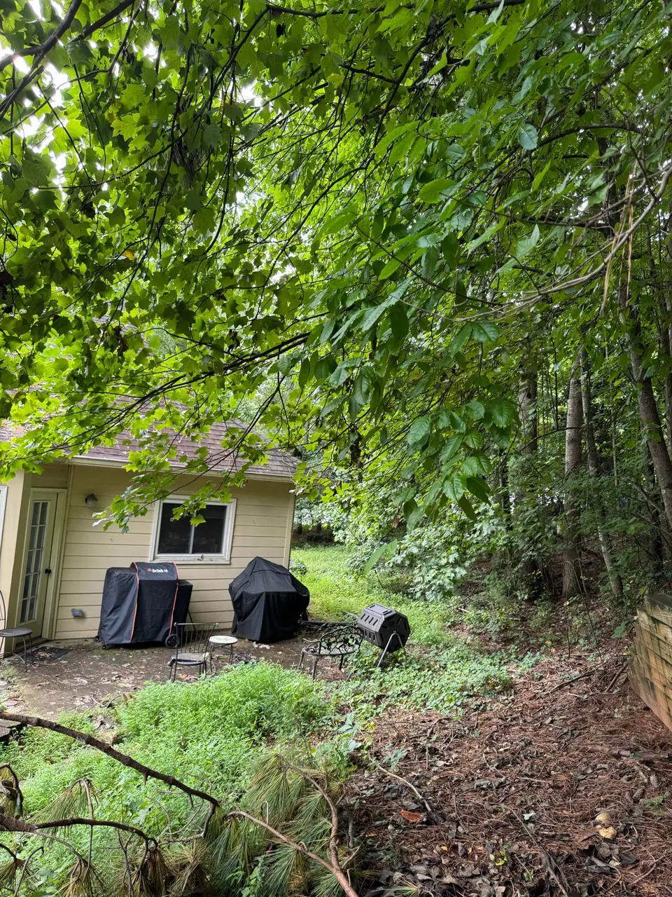 Before: Overgrown branches hanging over grill and patio area