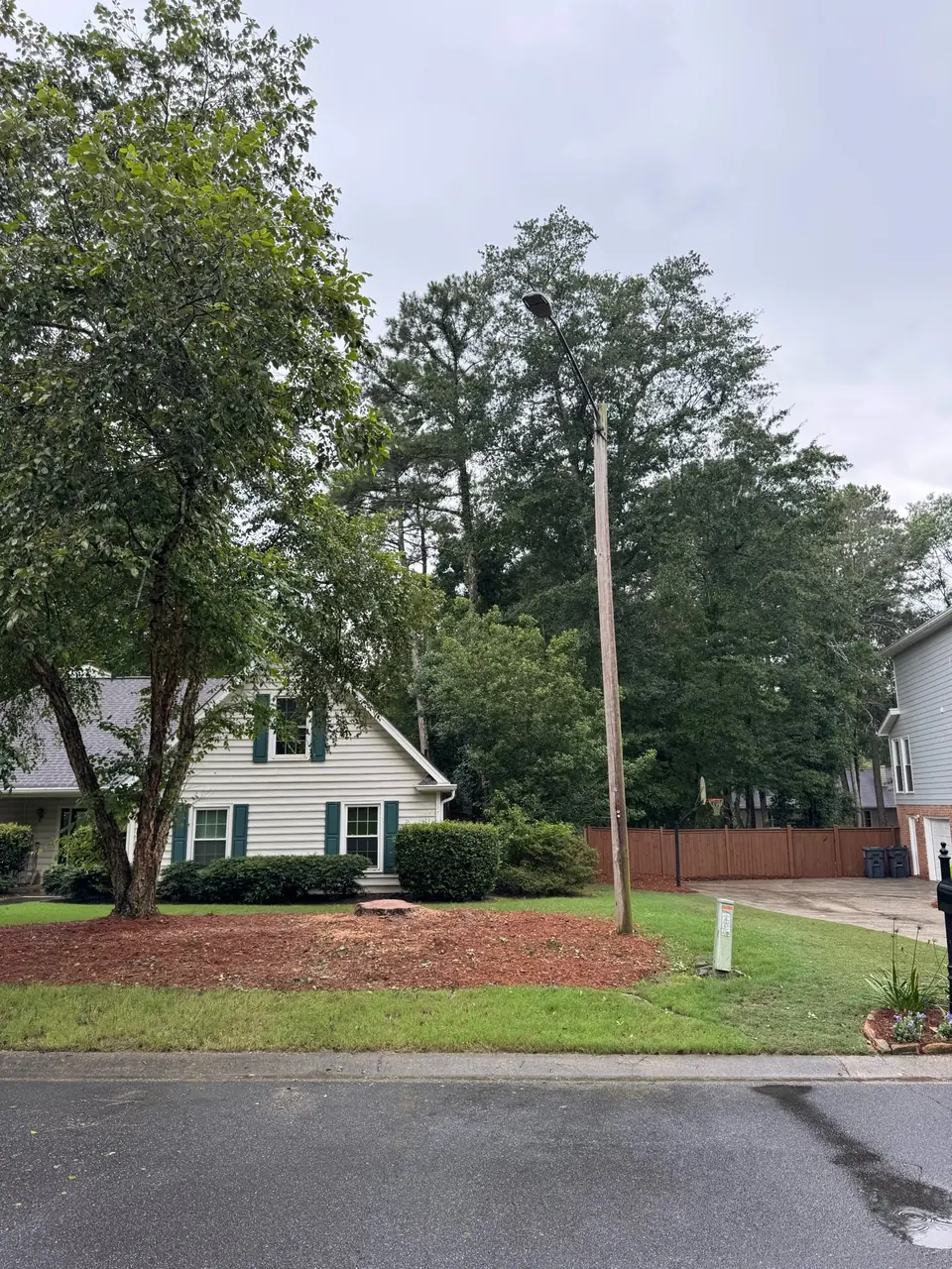 After: River birch removed with the light pole and yard visible in Marietta GA