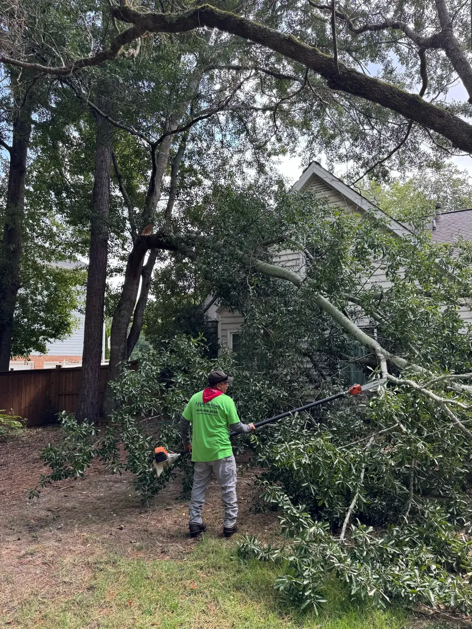 Before: Crew member working to remove fallen oak branch from house