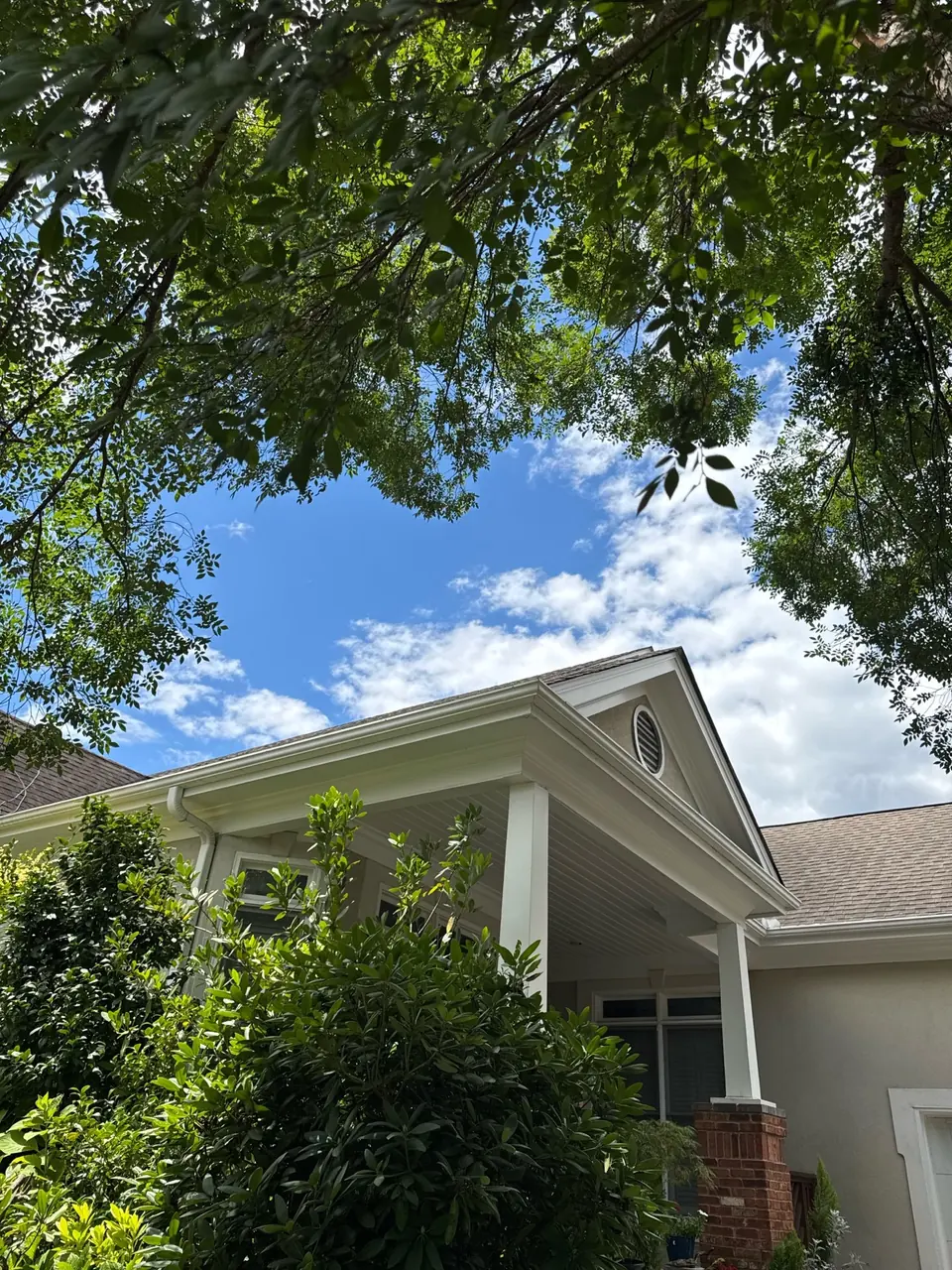 After: 5-10 feet of clearance from roof, elm pruned back in Brookhaven GA
