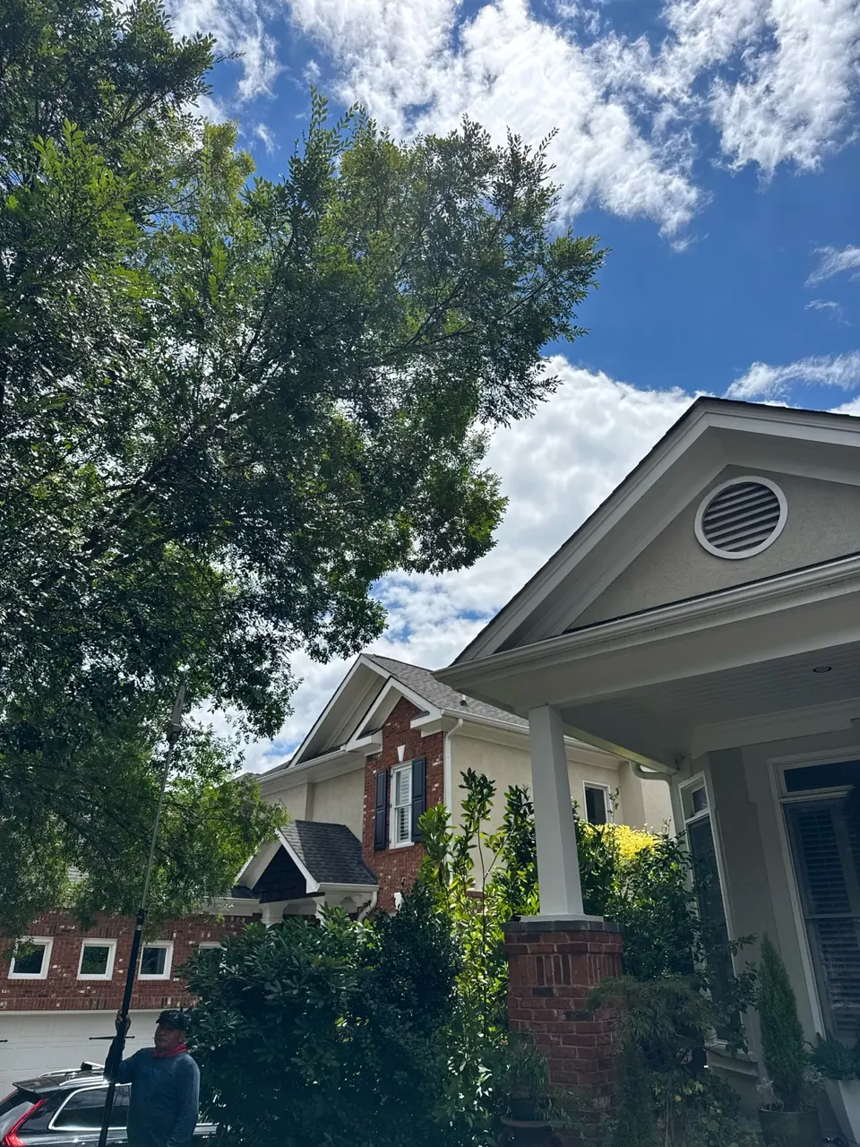After: Full clearance from roofline, tree still healthy in Brookhaven GA