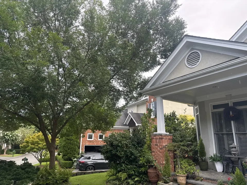 Before: Elm tree branches growing over roofline in Brookhaven GA
