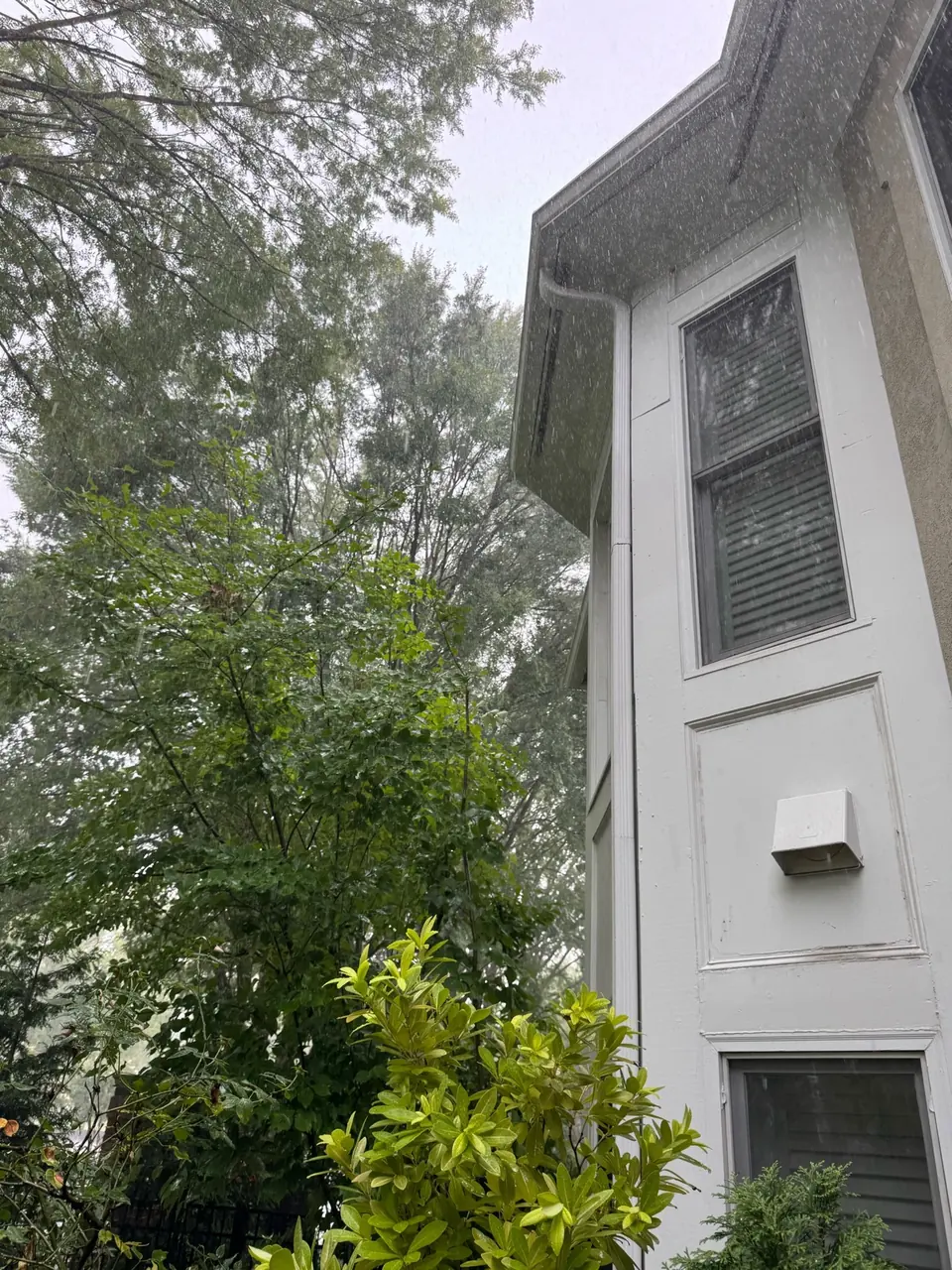 After: Clearance from windows and gutters in the rain in Buckhead GA