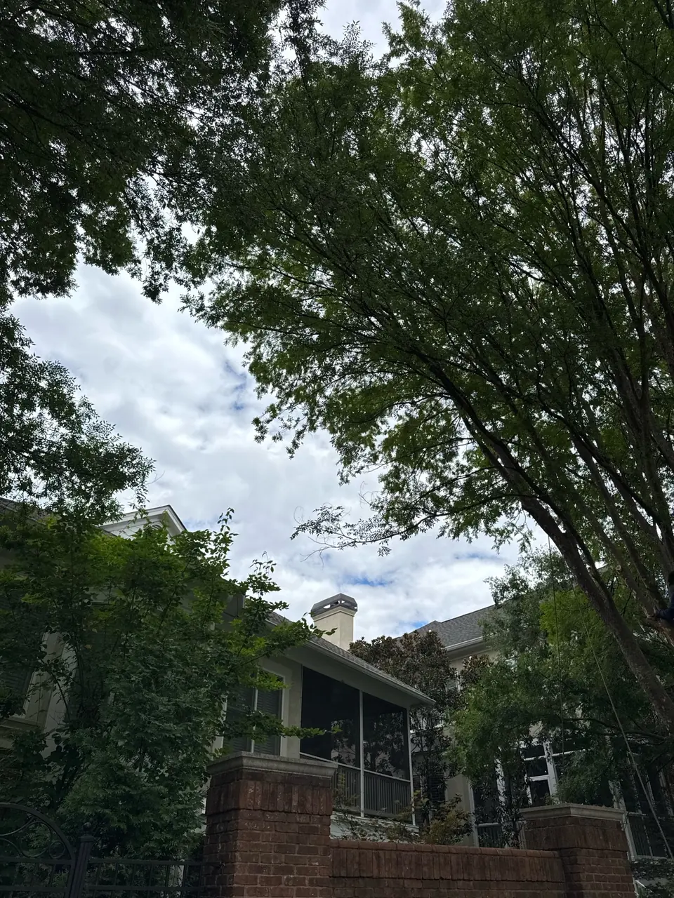 After: Full clearance from roof and chimney area in Buckhead GA