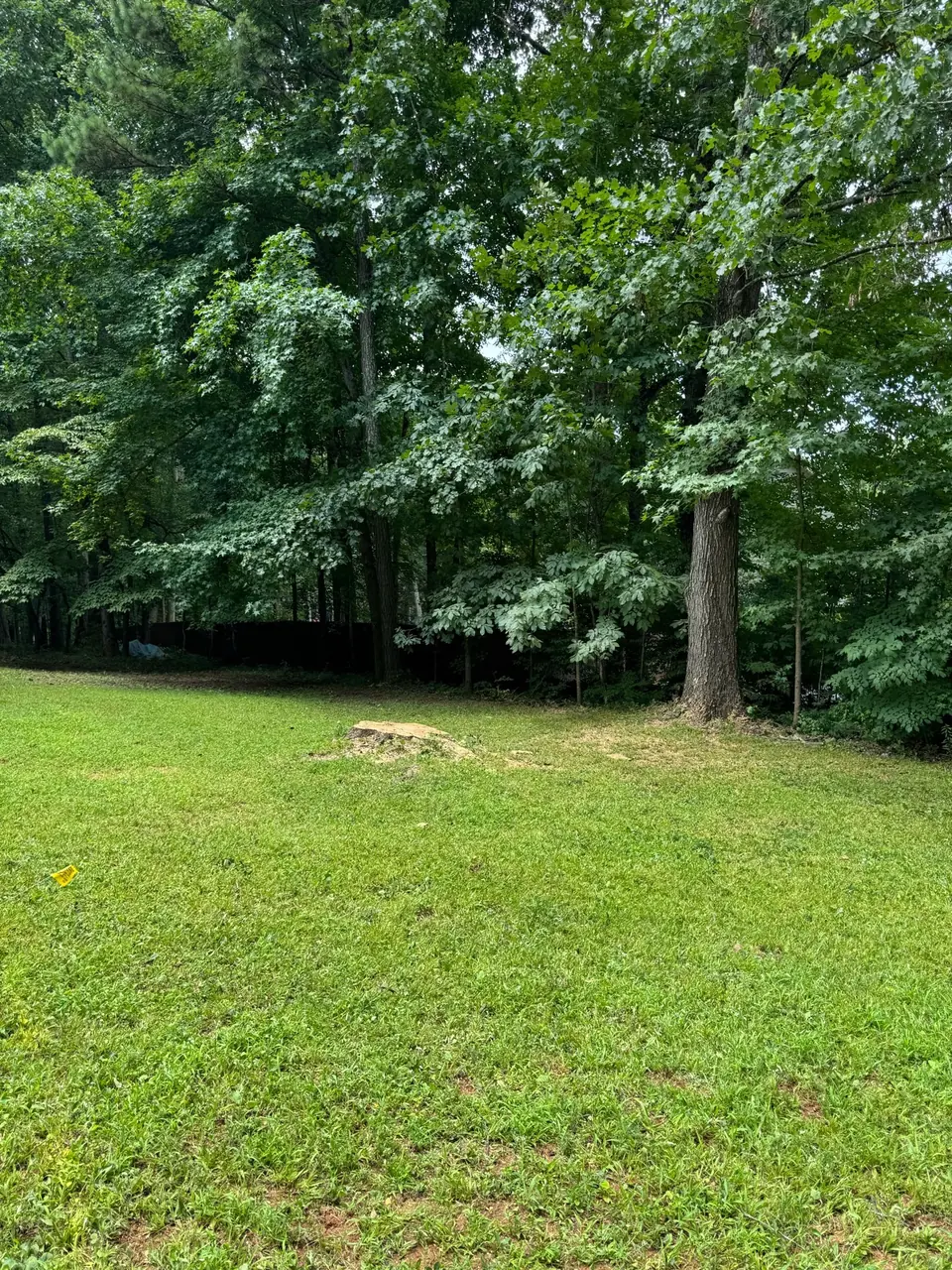 After: Oak removed, just stump remaining, clean yard in Powder Springs GA