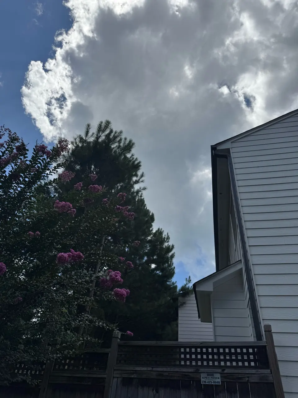 After: Clear space between pine and townhome in Sandy Springs GA