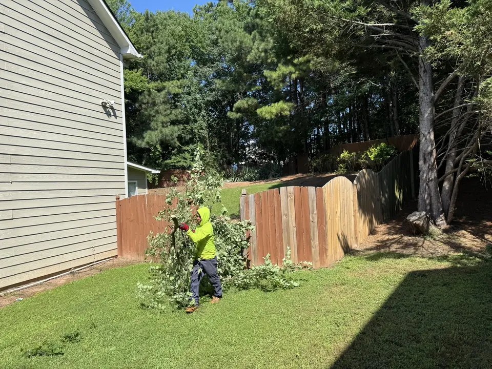 After: Crew member hand-carrying branches out of the yard