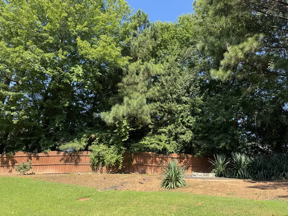 Before: Overgrowth growing into and over wooden fence in Kennesaw GA
