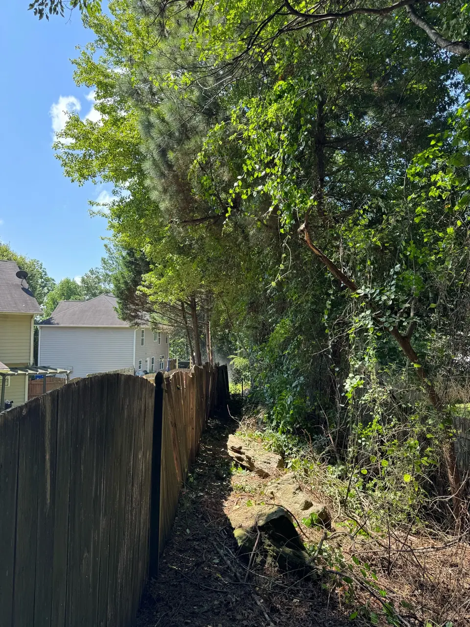 After: Fence cleared, undergrowth removed, space created in Canton GA