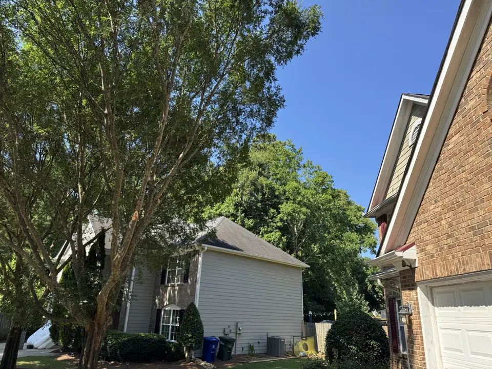 After: Elm pruned back with clear space between canopy and house in Acworth GA
