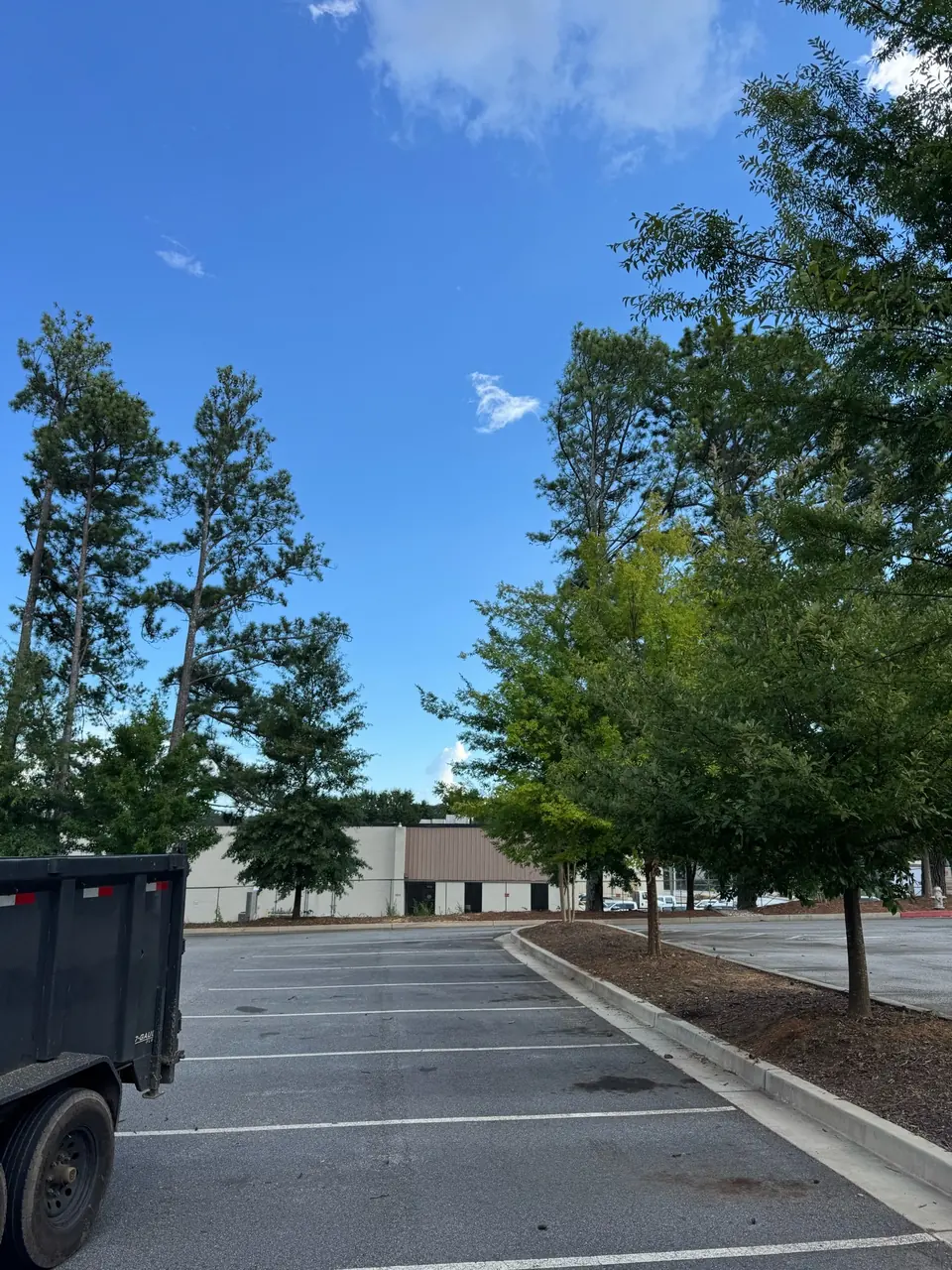 After: Clean parking lot with dead pines removed, dump trailer visible, no debris in Smyrna GA