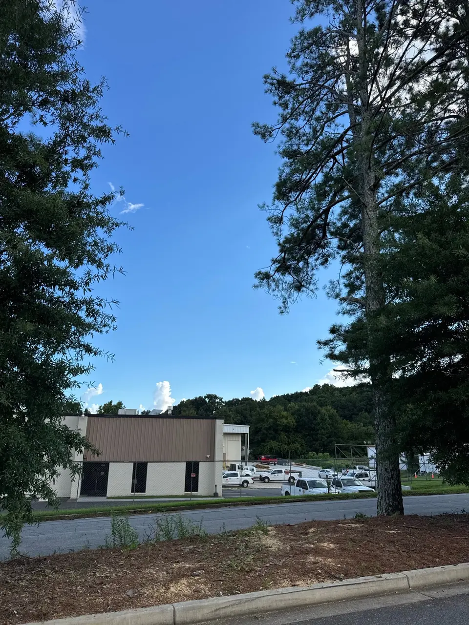 After: Wide view of commercial property with dead pines completely removed and area cleaned in Smyrna GA
