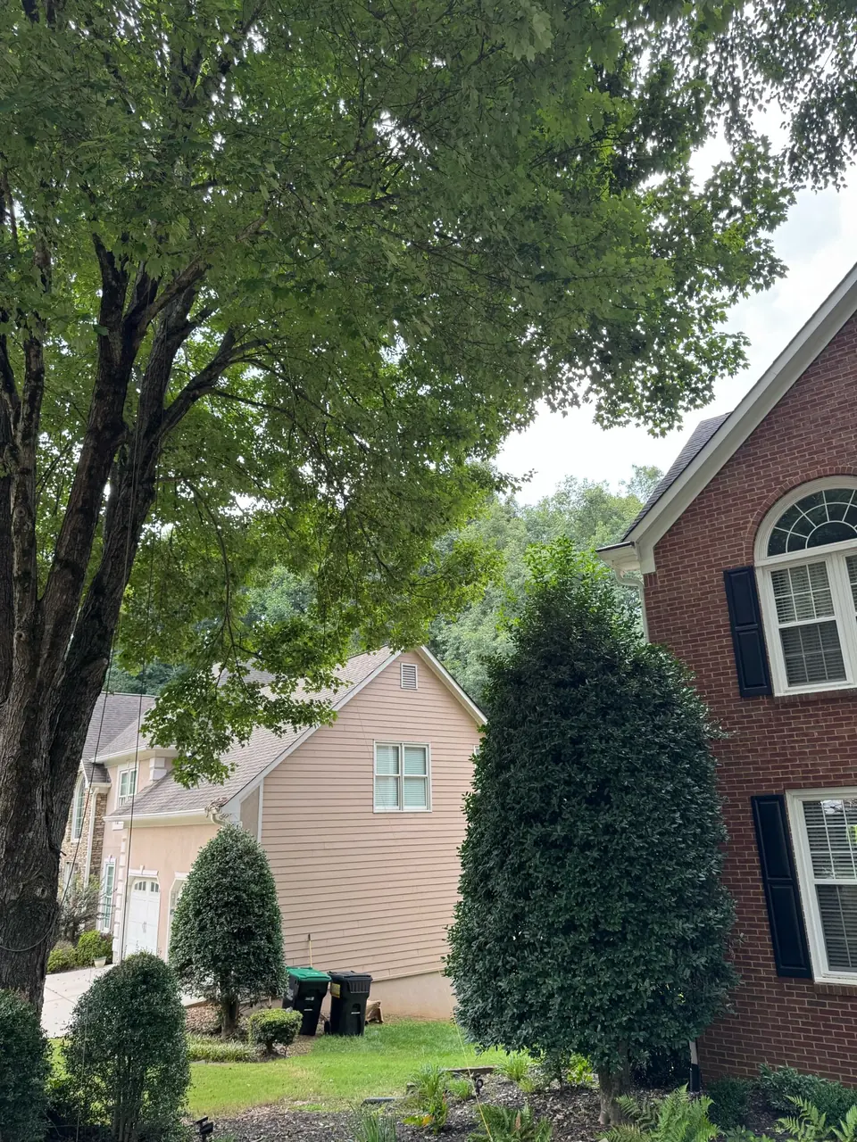 Before: Maple tree branches extending over gutters and roof of brick house in Acworth GA