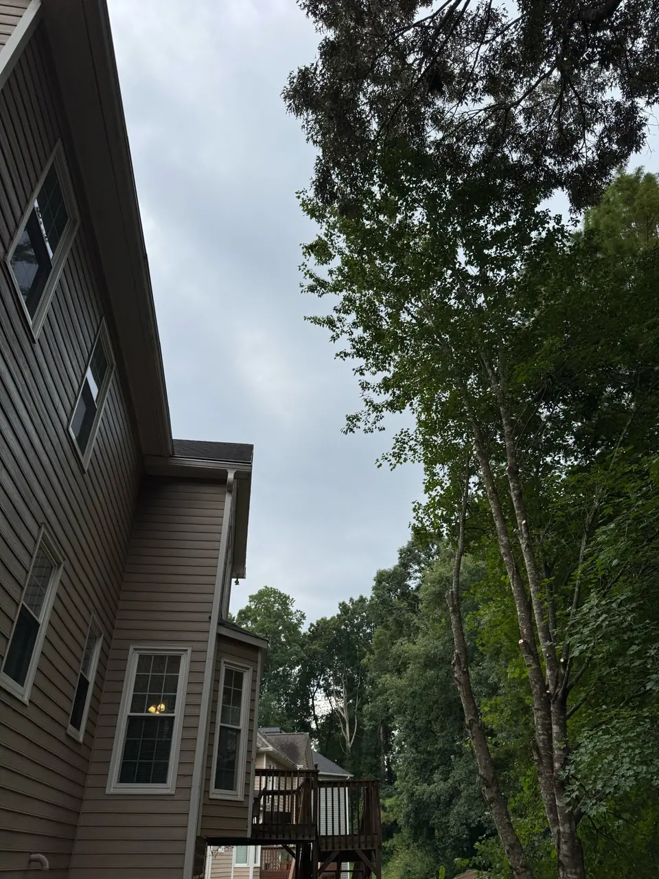 After: Wide angle showing full clearance from roofline with trees well away from house in Marietta GA