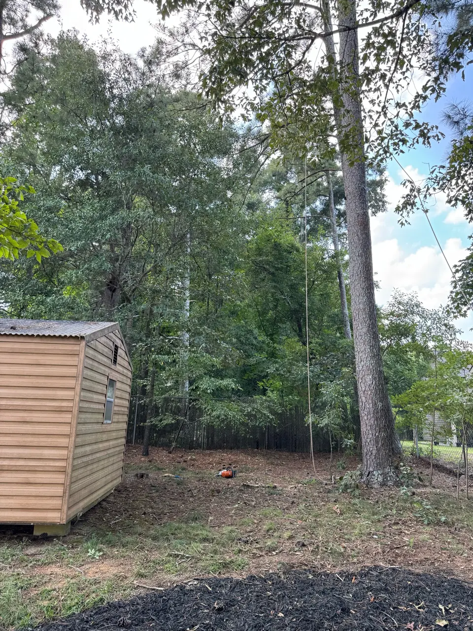 After: Dead codominant tree removed beside shed with clean yard in Powder Springs GA