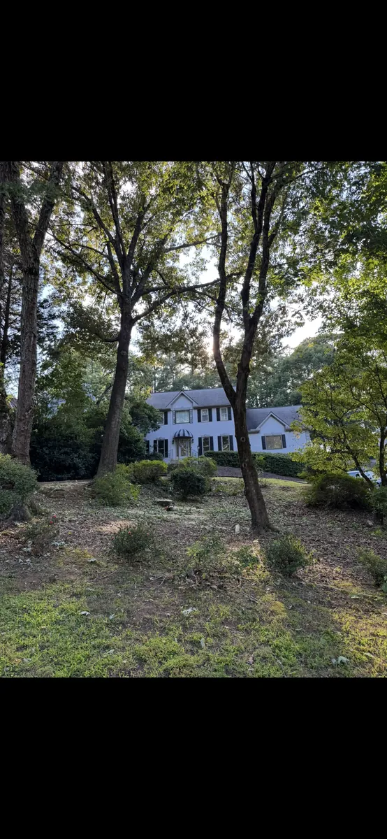 After: dying maple tree removal in Roswell, GA