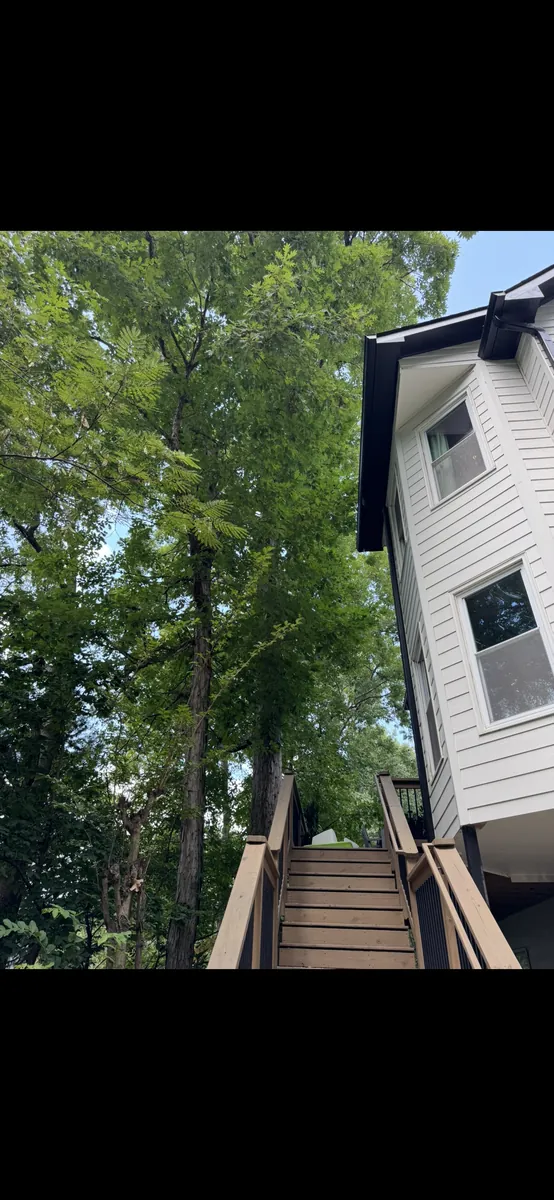 Before: oak pruning away from deck and gutters in Canton, GA