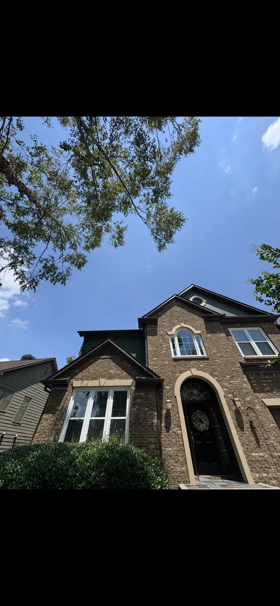 After: river birch pruning for house clearance in Powder Springs, GA