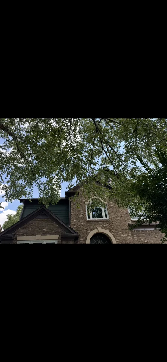 Before: river birch pruning for house clearance in Powder Springs, GA