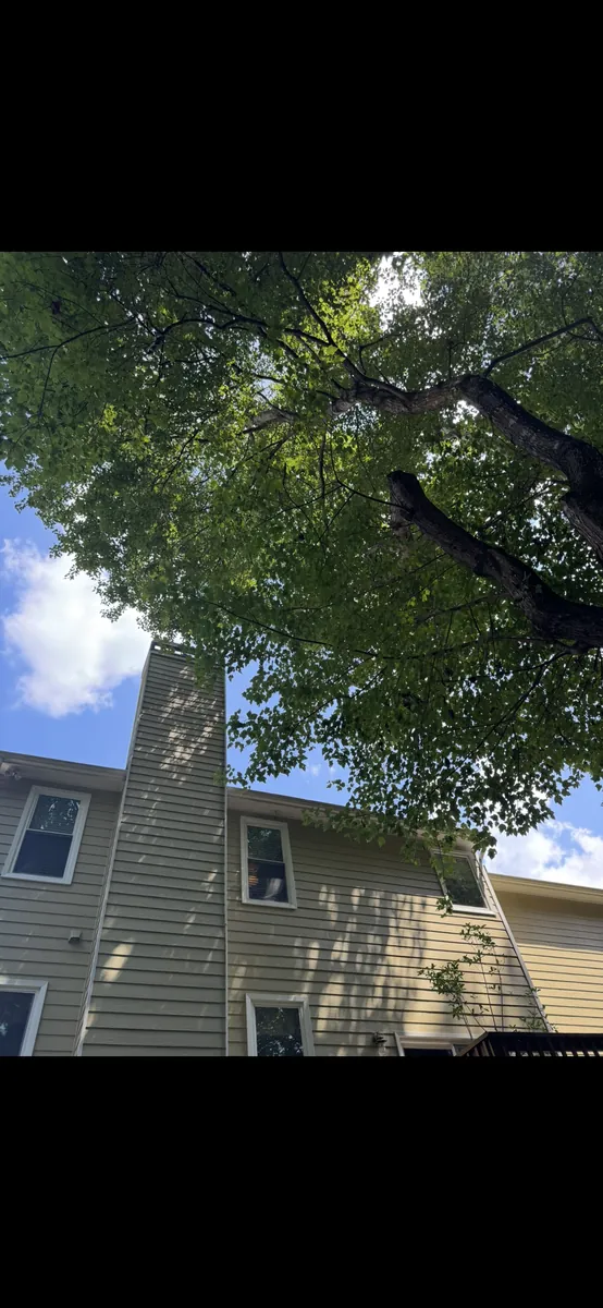 Before: tree pruning away from fireplace chimney in Dallas, GA