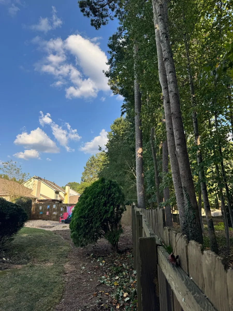 After: fence-line canopy raising for sunlight in Smyrna, GA