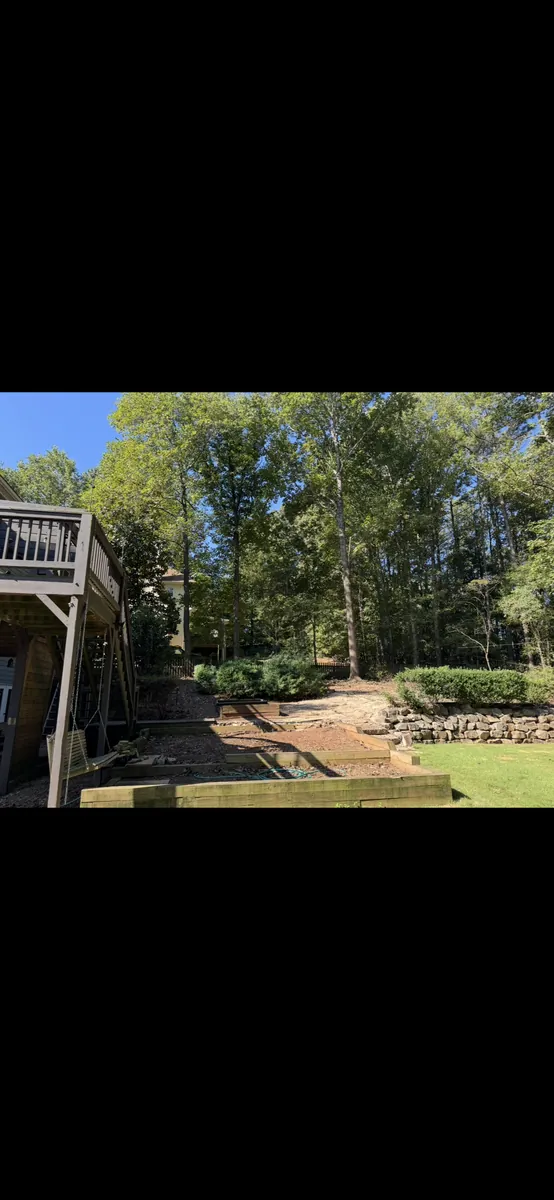 After: multi-trunk poplar removal near house and walkway in Vinings, GA