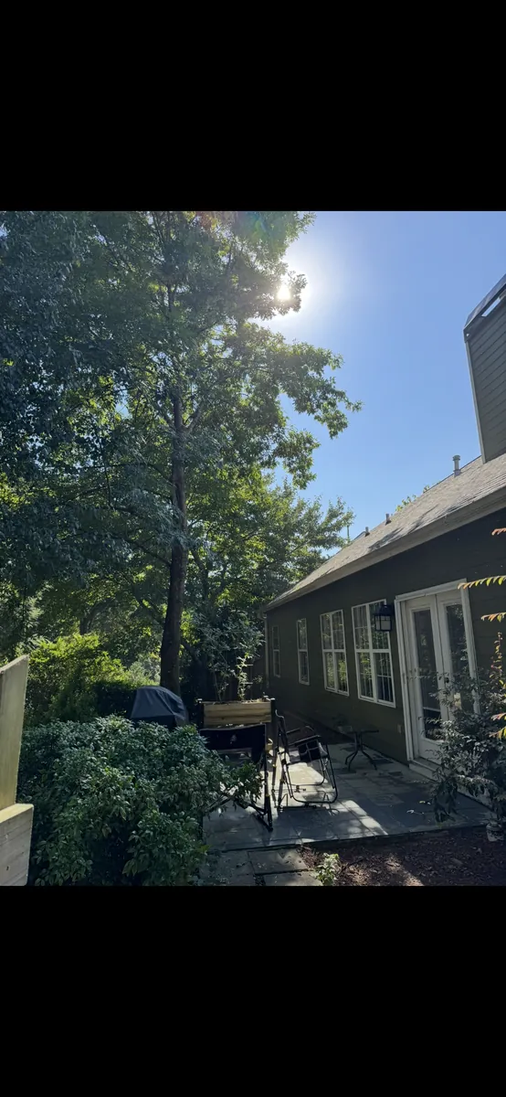 After: broken branch removed from roof in Acworth, GA
