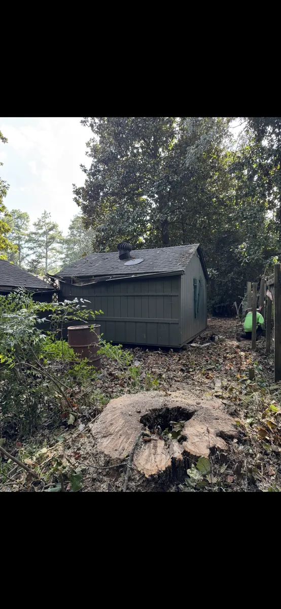After: snapped poplar removed from shed and fence in Brookhaven, GA