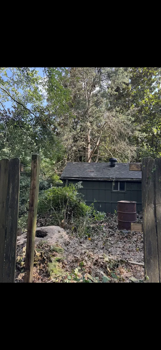After: snapped poplar removed from shed and fence in Brookhaven, GA