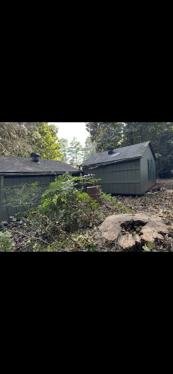 After: snapped poplar removed from shed and fence in Brookhaven, GA