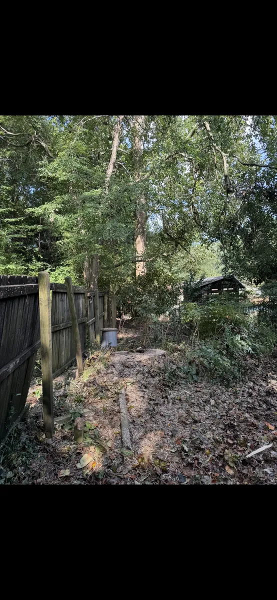 After: snapped poplar removed from shed and fence in Brookhaven, GA