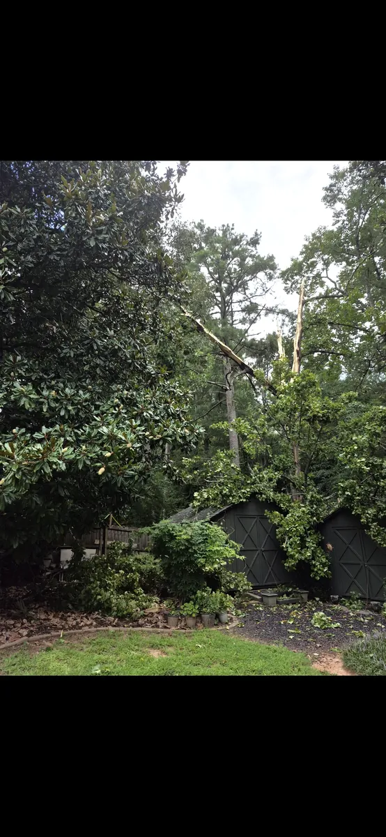 Before: snapped poplar removed from shed and fence in Brookhaven, GA