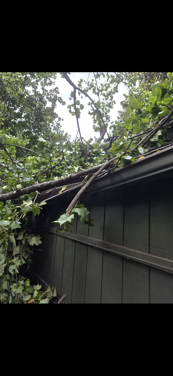 Before: snapped poplar removed from shed and fence in Brookhaven, GA