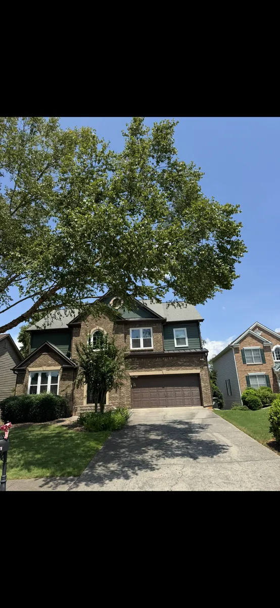 After: river birch canopy lift for curb appeal in Powder Springs, GA