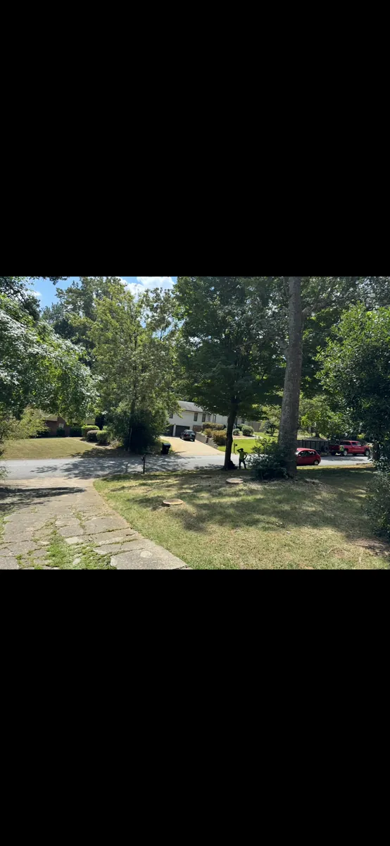 After: dead pine and two leaning oaks removed in Marietta, GA