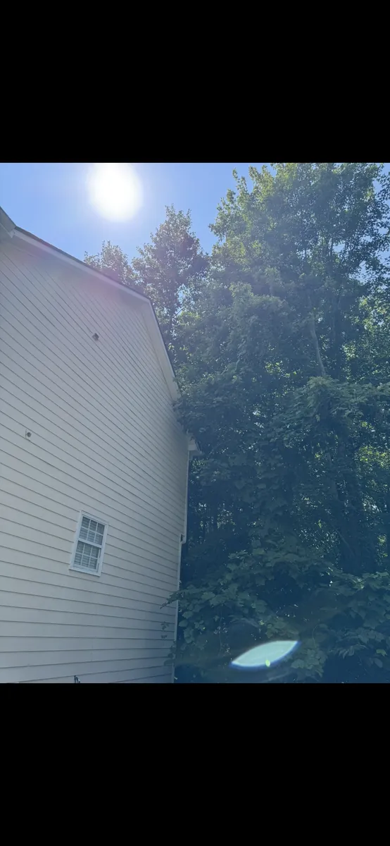 Before: maple canopy lift from house and roof in Kennesaw, GA
