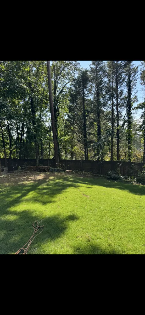 After: codominant dead tree removed near fence in Acworth, GA