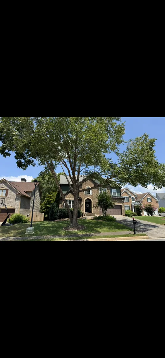 After: river birch canopy lift for sunlight and curb appeal in Buckhead, GA